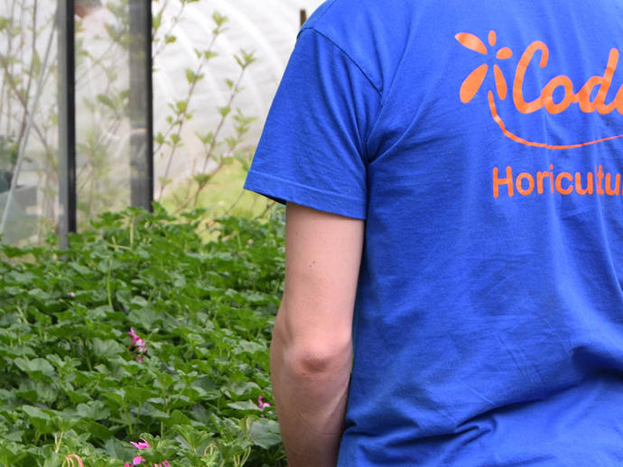 horticulture